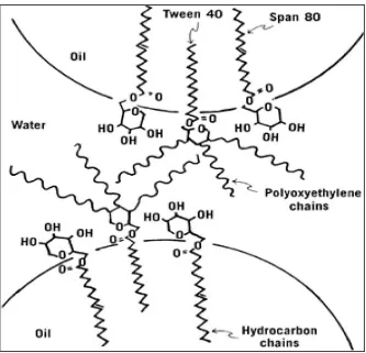 Gambar 2.4 Skema tetesan minyak dalam emulsi minyak-air, menunjukkan  orientasi molekul Tween dan Span pada antarmukanya (Martin et al, 1993)