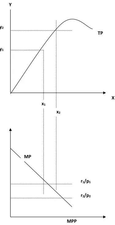 Gambar 1. Kurva Hubun gan  Infrastruktur Jalan dan Input output Y X y1y2x1x2MPP r1/p1r2/p2TP MP 