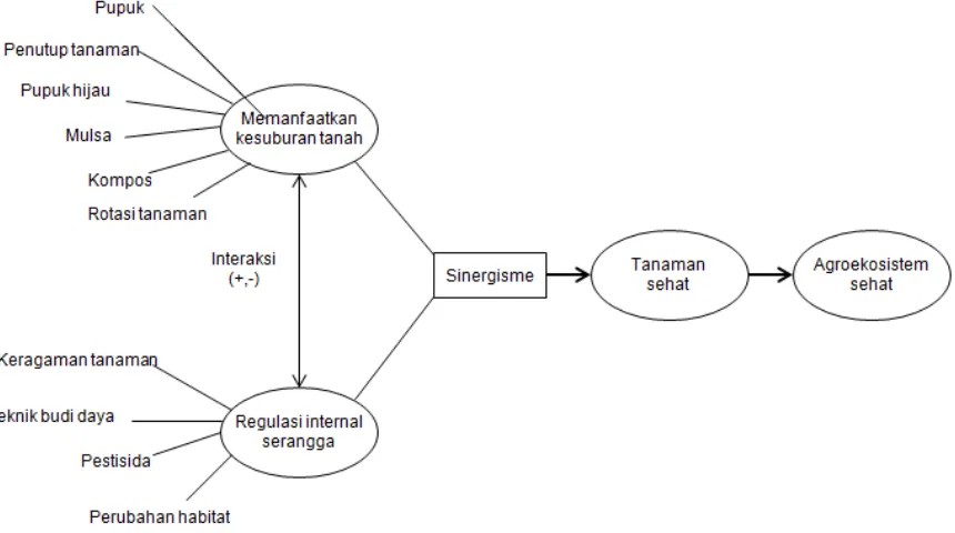 Gambar 2. Potensi sinergisme antara manajemen kesuburan tanah dengan pengendalian hama terpadu (Altieri and Nicholls 2003).