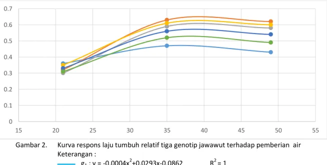 Grafik LTR pada ketiga genotip semakin  naik  sampai  mencapai  titik  maksimal pada  umur  35  HST