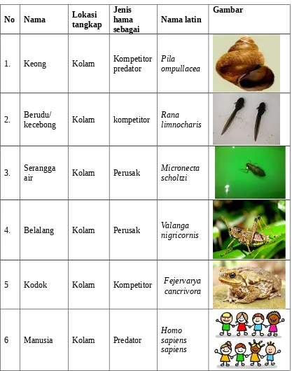 Tabel 1. Jenis-jenis hama yang ditemukan di Green House