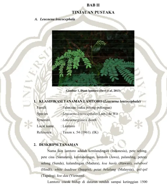 Gambar 1. Daun lamtoro (Devi et al, 2013) 