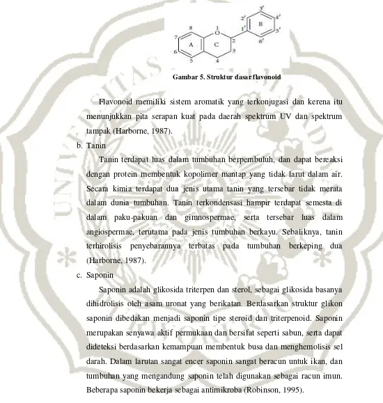 Gambar 5. Struktur dasar flavonoid 
