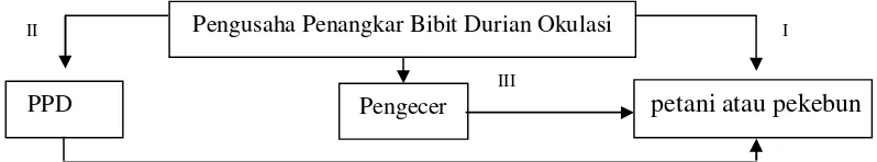 Tabel 4.1 Marjin Pemasaran, Share Petani, dan Distribusi Keuntungan dalam Pemasaran Bibit Durian Okulasi di Kecamatan Lingsar Kabupaten Lombok Barat 2015