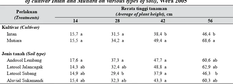 Tabel 1.   Tinggi tanaman kultivar Intan dan Mutiara pada berbagai jenis tanah (Plant height 