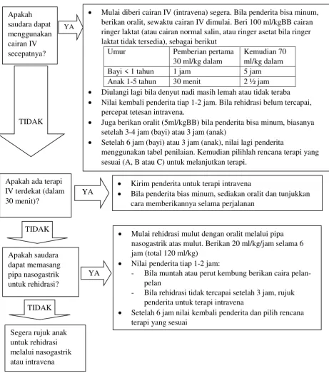 Gambar 2.1.8 Rencana Terapi C  