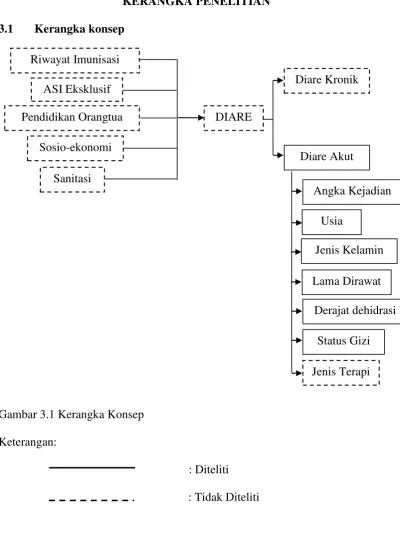 Gambar 3.1 Kerangka Konsep 