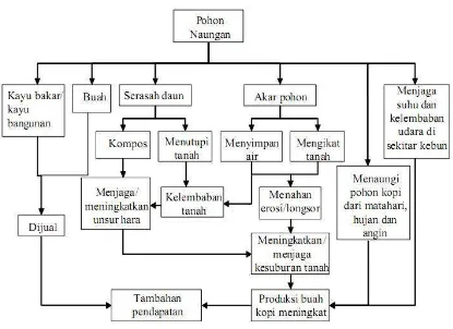 Gambar 1. Manfaat pohon naungan dan pohon pelindung dalam budidaya kopi (Sumber: Mulyoutami et al., 2004)  
