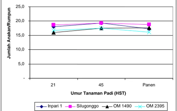 Gambar 5. Perkembangan  jumlah  anakan  tanaman  varietas  Inpari  1,  Silugonggo,  galur  OM  1490,  OM  2395  dan  B11283  pada  MT-1  2009/2010 