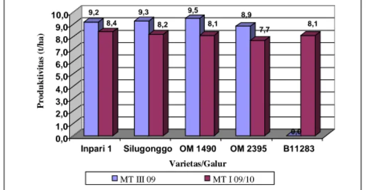 Gambar  7.  Perbandingan  produktivitas  (t  GKG/ha)  varietas  Inpari  1,  Silugonggo,    galur  OM  1490,  OM  2395  dan  B11283  pada  MT-3  2009 dan MT-1 2009/2010 