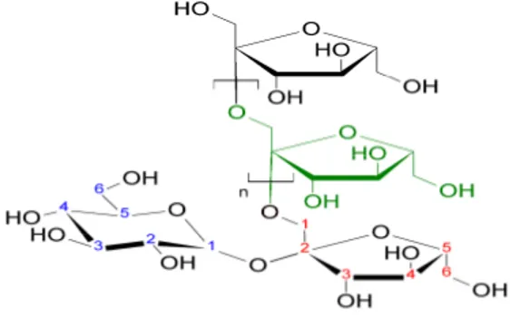 Gambar 1. Struktur Kimia Inulin 