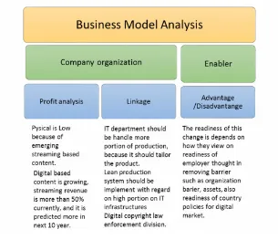 Figure 4.  Business Model Analysis 