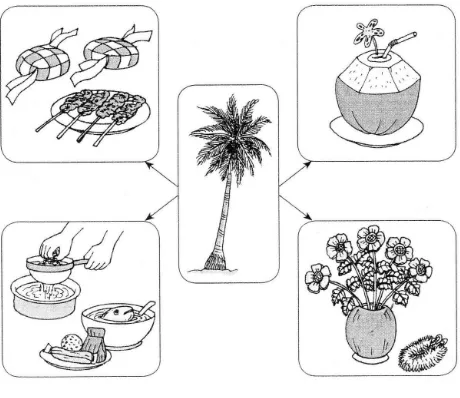 Gambar di bawah menunjukkan kegunaan pokok kelapa.Tulis lima ayat yang lengkap tentang kegunaan pokok kelapa berdasarkan gambar.
