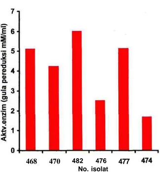 Tabel 2. Aktivitas amilase isolat A. niger (ISO.482) dan A. clavatus (ISO.468) dalam media produksi dedak dan nasi