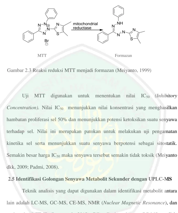 Gambar 2.3 Reaksi reduksi MTT menjadi formazan (Meiyanto, 1999) 