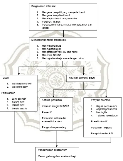 Gambar 2.3  Bagan Penatalaksanaan kelainan atau penyakit pada neonatus    (Manuaba, 2010;hal:441