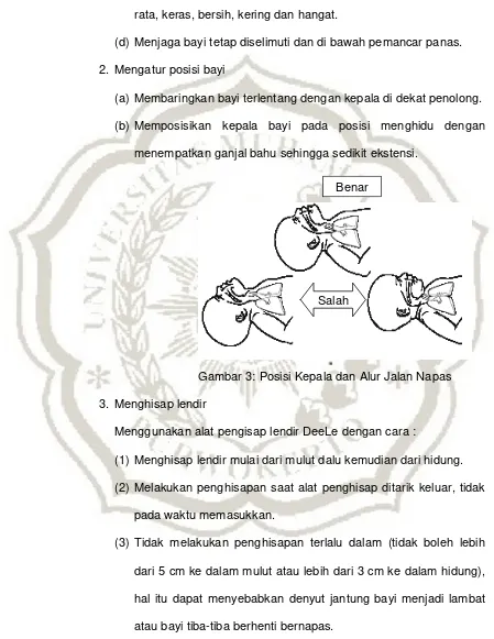 Gambar 3: Posisi Kepala dan Alur Jalan Napas 