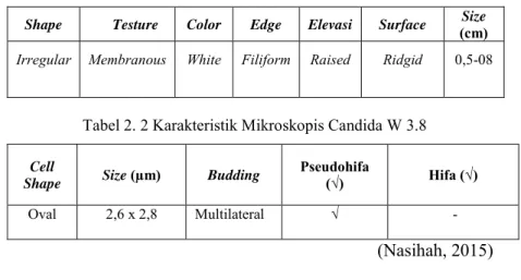 Tabel 2. 1 Karakteristik Makroskopis Candida W 3.8 