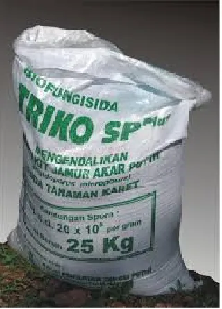 Gambar 3.Tricoderma sp. Pada Pangkal Batang