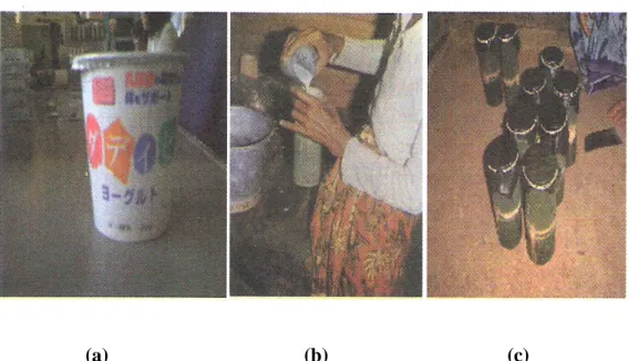 Gambar 2. Dadih modern atau bioyoghurt susu fermentasi dadih yang telah diproses secara modern di Jepang  (a)