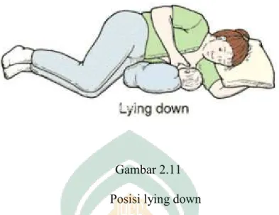 Gambar 2.11  Posisi lying down 