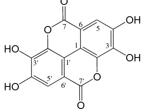 Figure 3. Skeletal formula of ellagic acid 