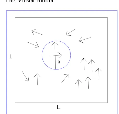 Figure 2.7: Illustration of the Vicsek model. The arrows are &#34;birds&#34;, units that fly in the direction of the arrow with a constant velocity