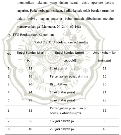 Tabel 2.2 TFU berdasarkan kehamilan 