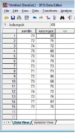 Gambar 3.5 Tampilan Data View 