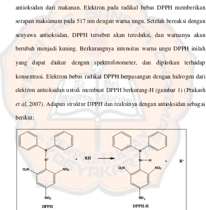 Gambar 1. struktur DPPH dan reaksinya dengan antioksidan  (Prakash et al,  2007) 
