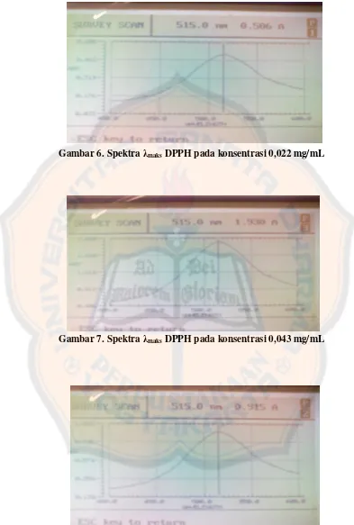 Gambar 6. Spektra λmaks DPPH pada konsentrasi 0,022 mg/mL 