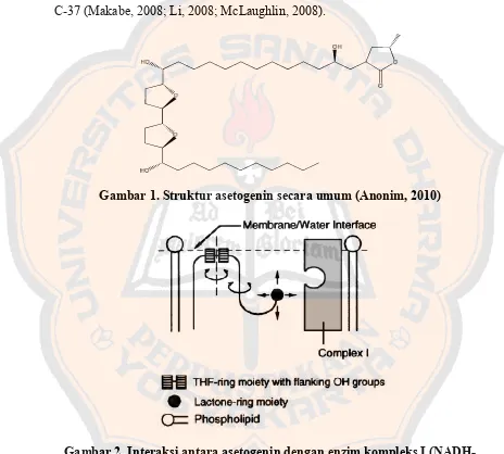 Gambar 1. Struktur asetogenin secara umum (Anonim, 2010) 