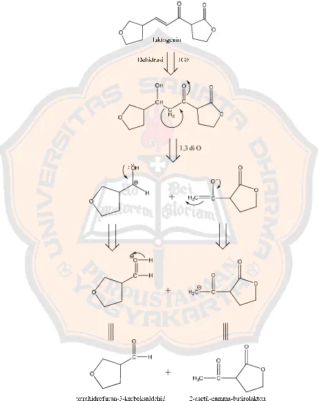 Gambar 3. Analisis diskoneksi senyawa laktogenin 