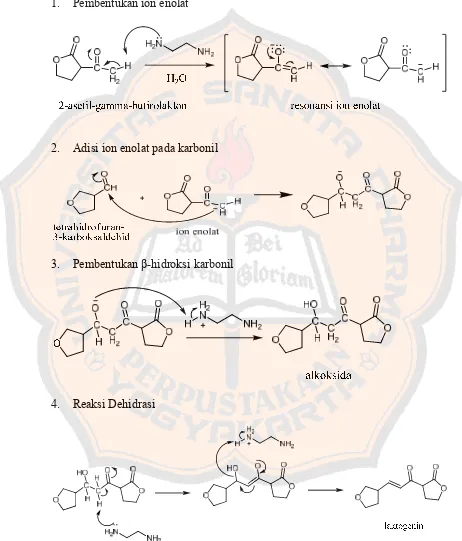 Gambar 6. Mekanisme reaksi sintesis senyawa laktogenin 