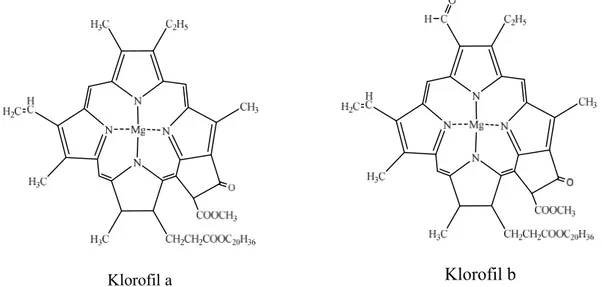Gambar 3. Struktur kimia dari Klorofil a dan b (Quida, 2011)Klorofil bKlorofil a