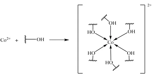Gambar 8. Reaksi antara ion Co 2+ dan gugus hidroksil