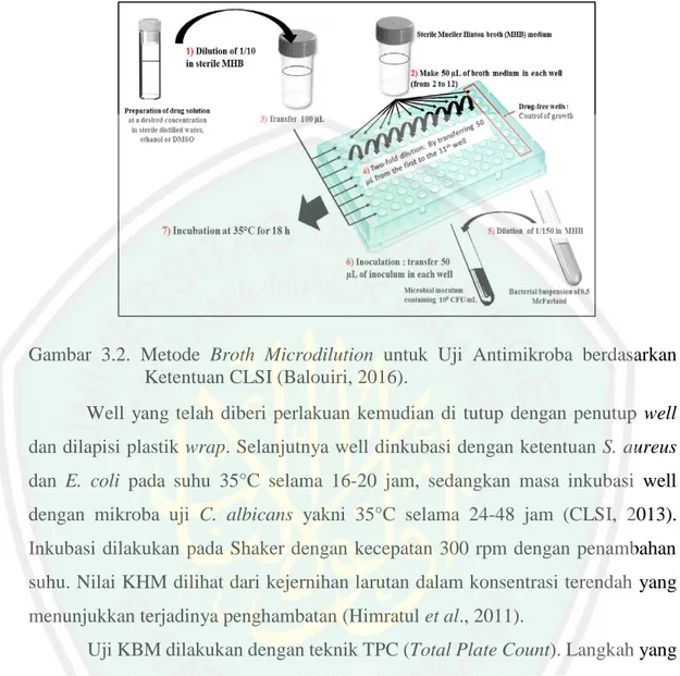 Gambar  3.2.  Metode  Broth  Microdilution  untuk  Uji  Antimikroba  berdasarkan  Ketentuan CLSI (Balouiri, 2016)