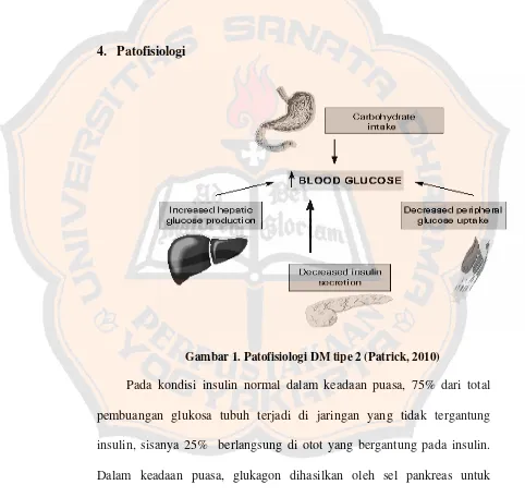 Gambar 1. Patofisiologi DM tipe 2 (Patrick, 2010)