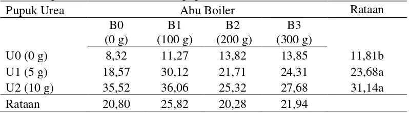 Tabel 6.  Rataan jumlah klorofil daun bibit kakao 16 MST (unit/6 mm3) pada pemberian abu boiler dan  pupuk urea 