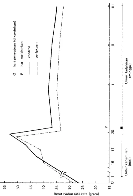Gambar  3  Perkembangan  berat badan rata-rata  induk mencit yang diberi perlakuan  denqan Barazinon  45/30 EC pada dosis 22 m}lkg
