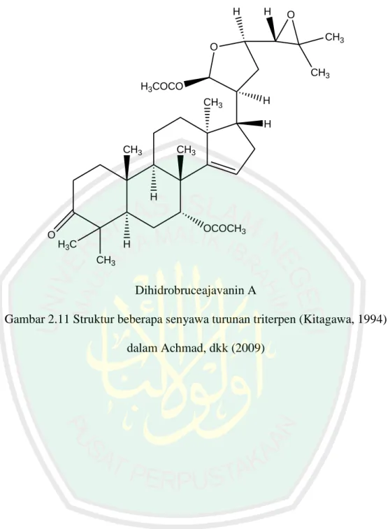 Gambar 2.11 Struktur beberapa senyawa turunan triterpen (Kitagawa, 1994)  dalam Achmad, dkk (2009) 