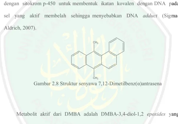 Gambar 2.8 Struktur senyawa 7,12-Dimetilbenz(α)antrasena