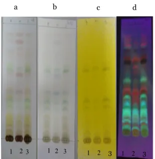 Gambar  3.  Hasil  Pengamatan  Profil  Kromatografi Lapis Tipis Simplisia Daun Kirinyuh  (Chromolaena  odorata)  dengan  fase  gerak  Kloroform : Etil Asetat (15:1)