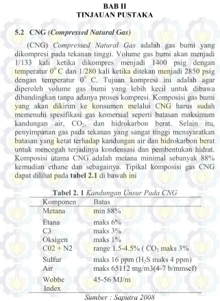 Tabel 2. 1 Kandungan Unsur Pada CNG 