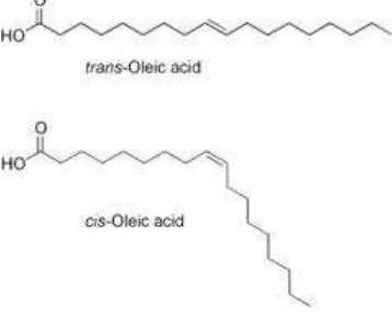 Gambar 2.1 Struktur trans dan cis asam oleat 