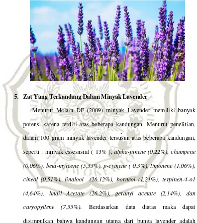 Gambar 1.1 Bunga Lavender (Cahyasari, 2015) 