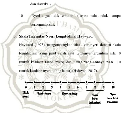 Gambar 1.3 Skala Nyeri Longitudinal Hayward 