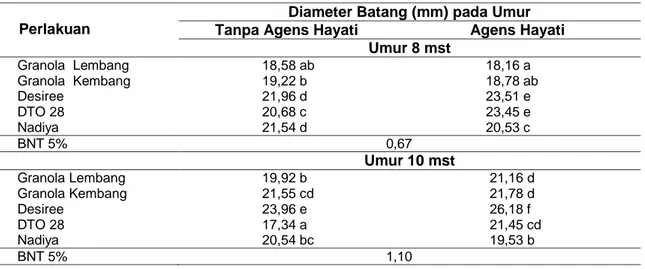 Tabel  4  Diameter  Batang  Akibat  Interaksi  Antara  Pemberian  Agens  Hayati  dengan  Macam  Varietas pada Umur Pengamatan 8 mst dan 10 mst