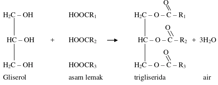 Gambar 2.1 Proses kondensasi 1 molekul gliserol dengan 3 molekul asam lemak      