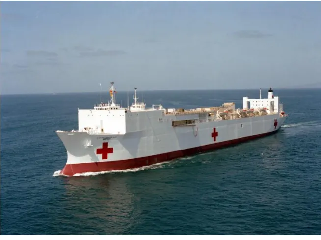 Gambar II.14 Kapal Rumah Sakit USNS Mercy milik Amerika Serikat 